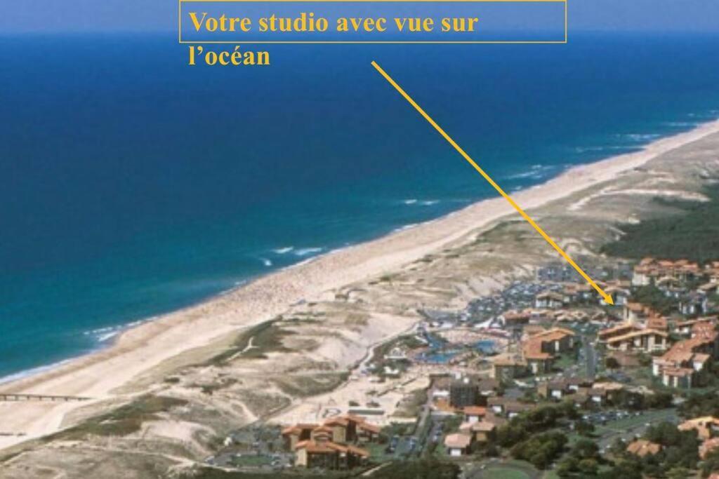 Studio Ultra Cosy Et Chic Avec Vue Sur L'Ocean 3* Seignosse Eksteriør billede